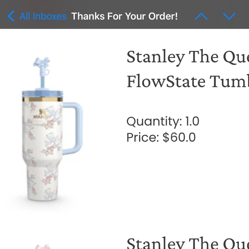Stanley x Love Shack Fancy 40oz Blue